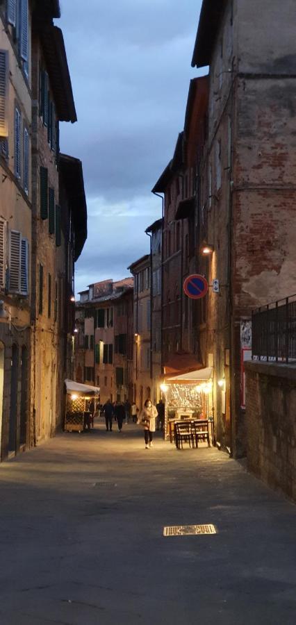 Lady Camollia Apartment Siena